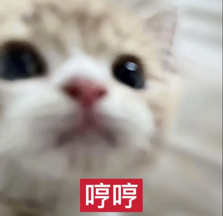 现在老爸每直播一场就会有一次bkt被鞭尸