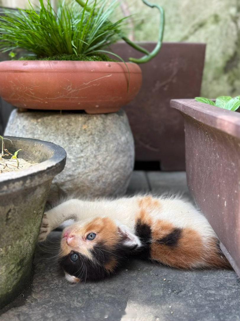 看你。 