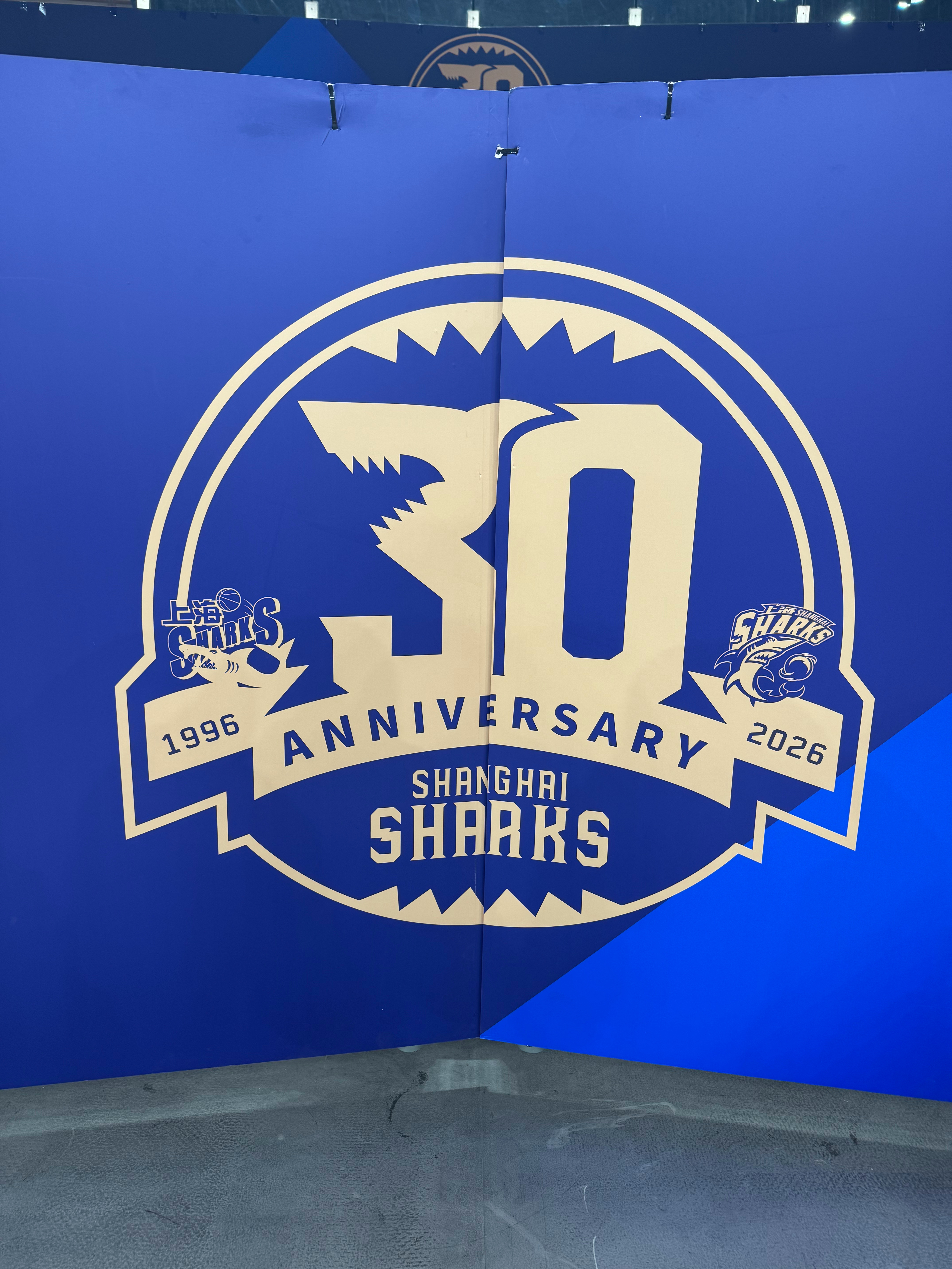 1996~2026🦈上海久事大鲨鱼