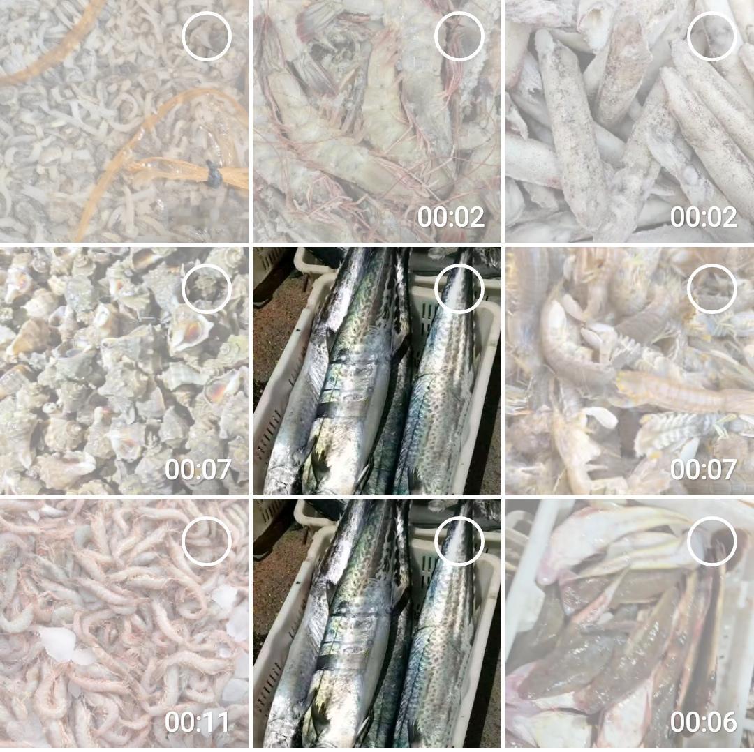 青岛银吃海鲜的季节到了，再不尝鲜，5月1日封海禁渔，又要等一年[呲牙][呲牙][