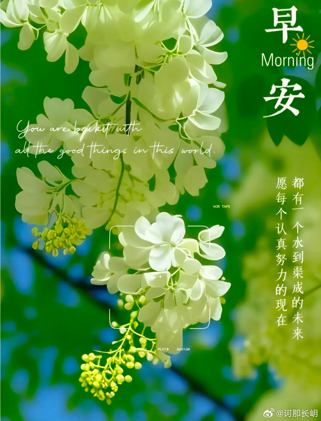 春渐浓，花渐绽，三月十五好开端。生活是场漫长旅行，怀揣希望，步履不停。惊喜正在靠