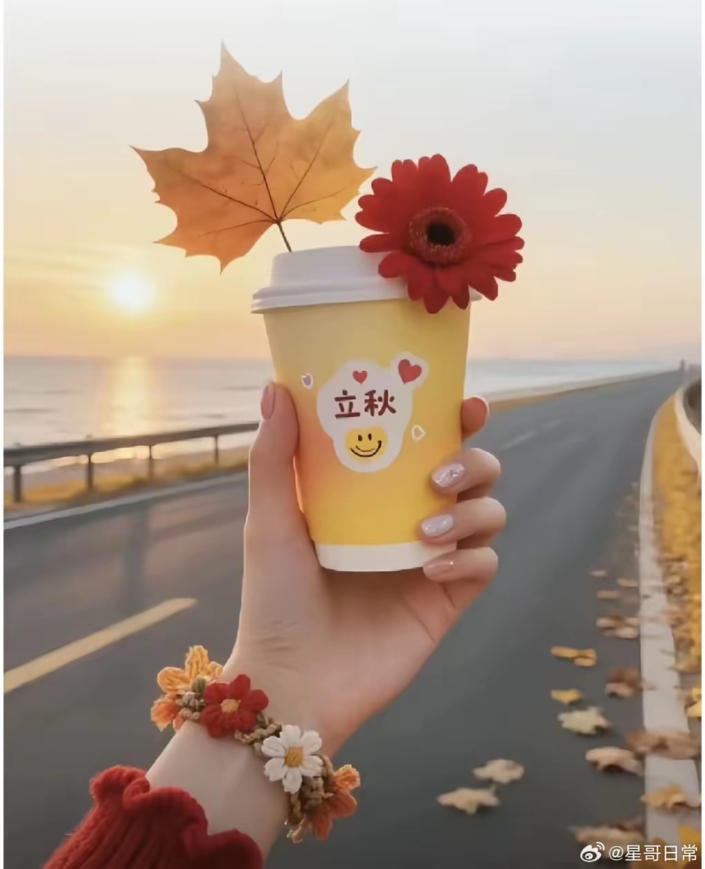 才感盛夏，忽而已秋，愿夏天的遗憾会随着秋风消散，翘望的心愿，会在秋天实现。小心这