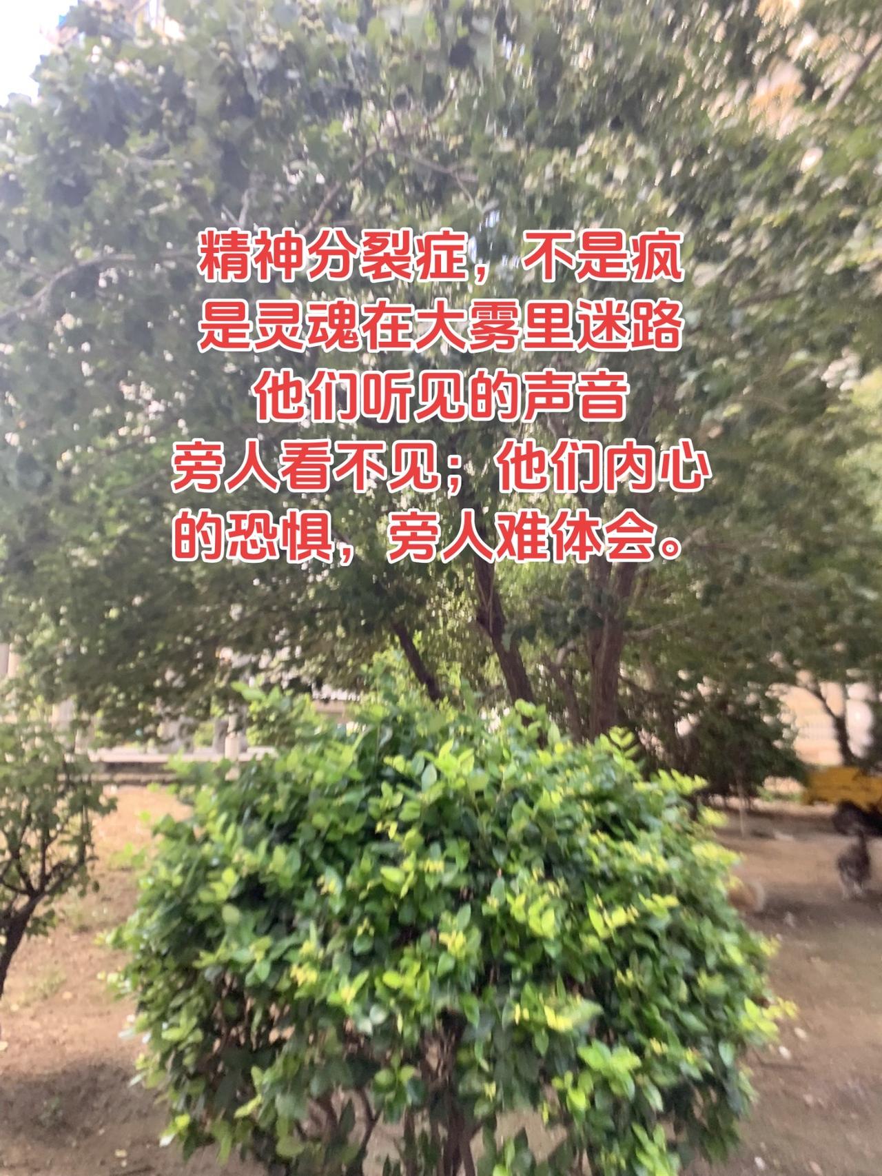 心里健康 关爱精神疾病患者