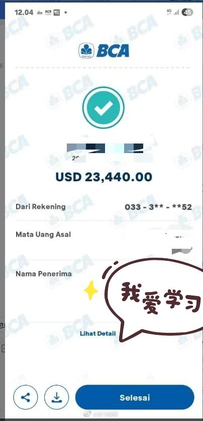 原来外国的转账记录是这样…… 