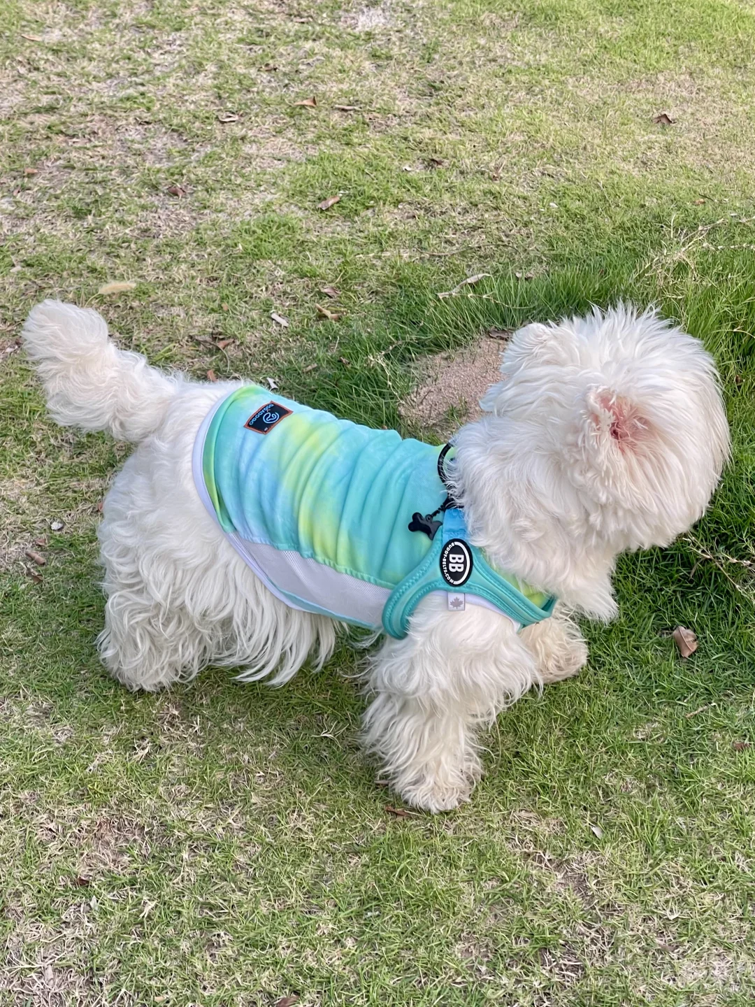 蓝色搭蓝色真的很🐂！