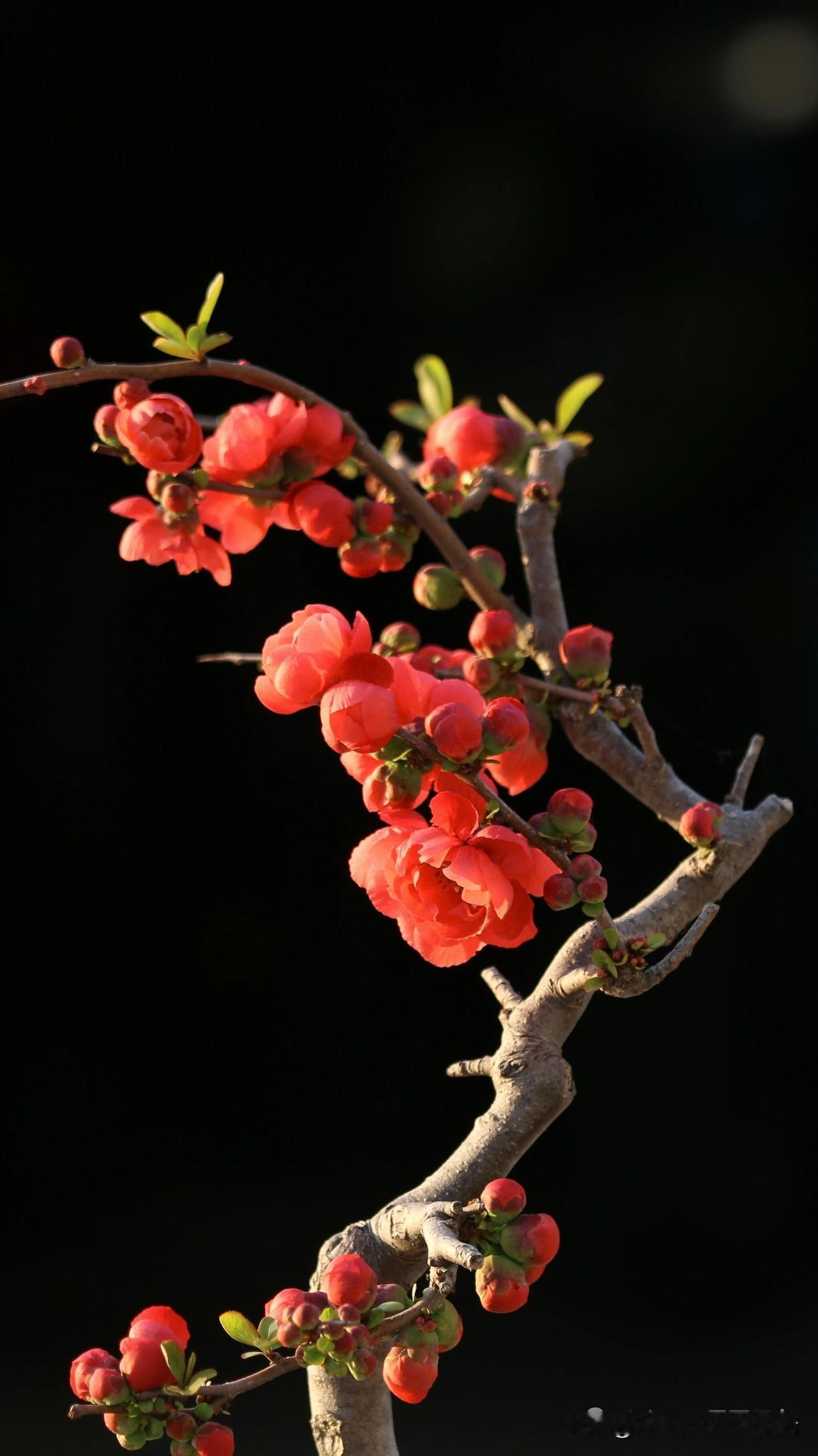 就在刚刚，《光明网》公开报道，中国社会保障学会的“农民养老金专题座谈会”在北京召