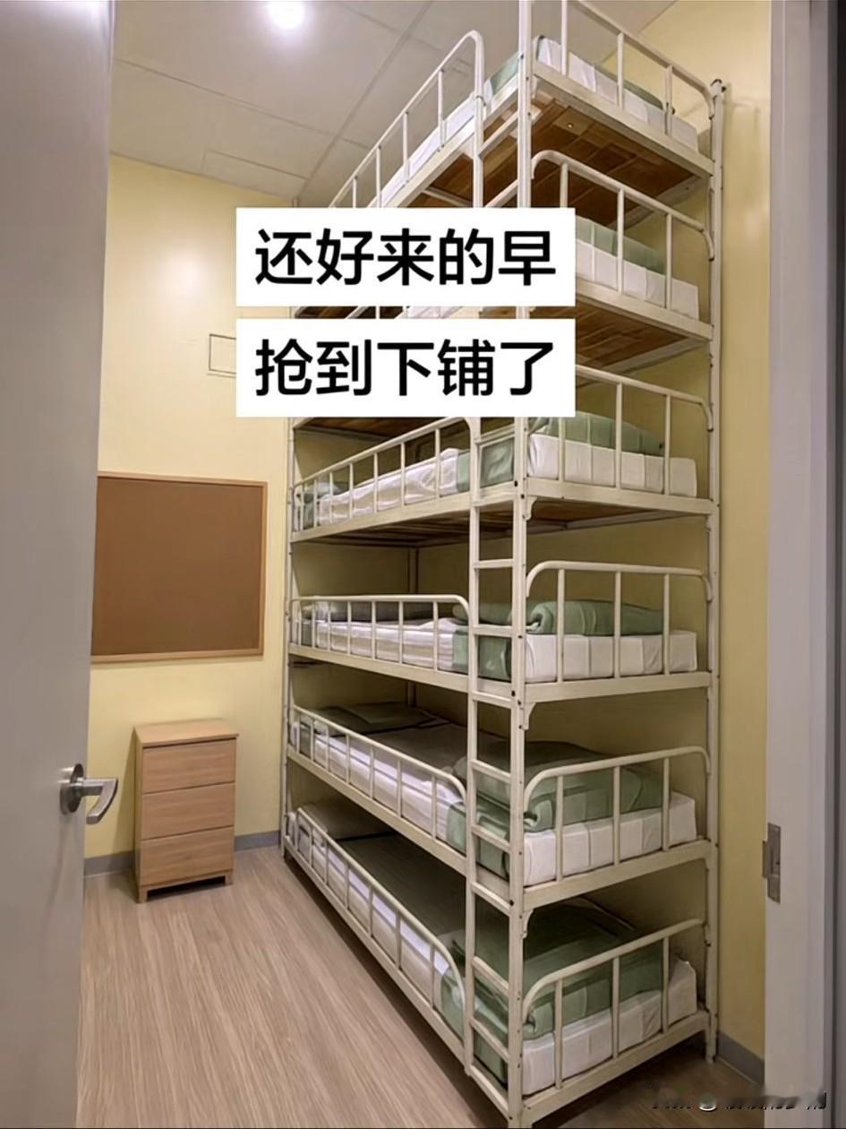 这该如何是好？