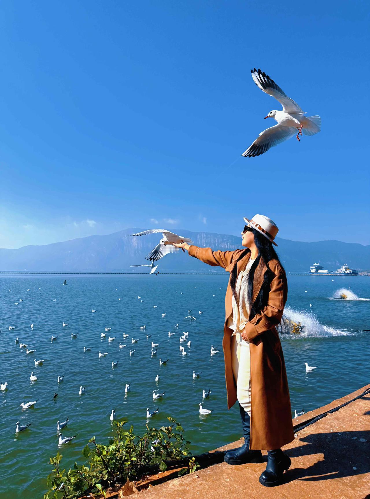 约会成功～

春城从不用大雪定义冬季
每年11月
西伯利亚的白色信使便衔着北风