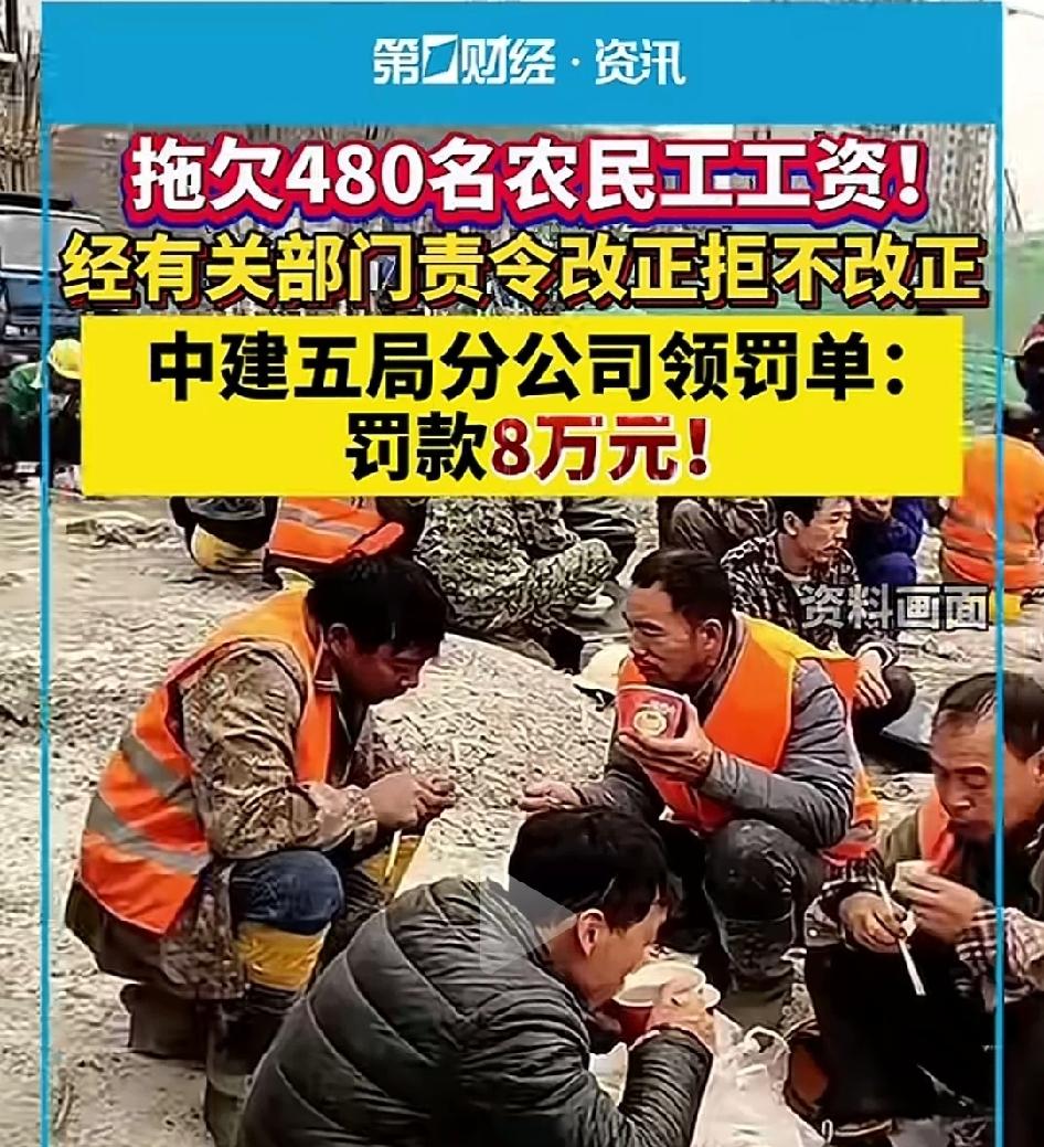 农民卖个菜被罚10万，拖欠480名农民工工资罚8万[捂脸][捂脸][捂脸]！48
