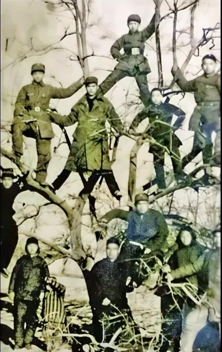 这是1944年春，河南范县，住处门口的大枣树上，八路军冀鲁豫军区八分区七团参谋长