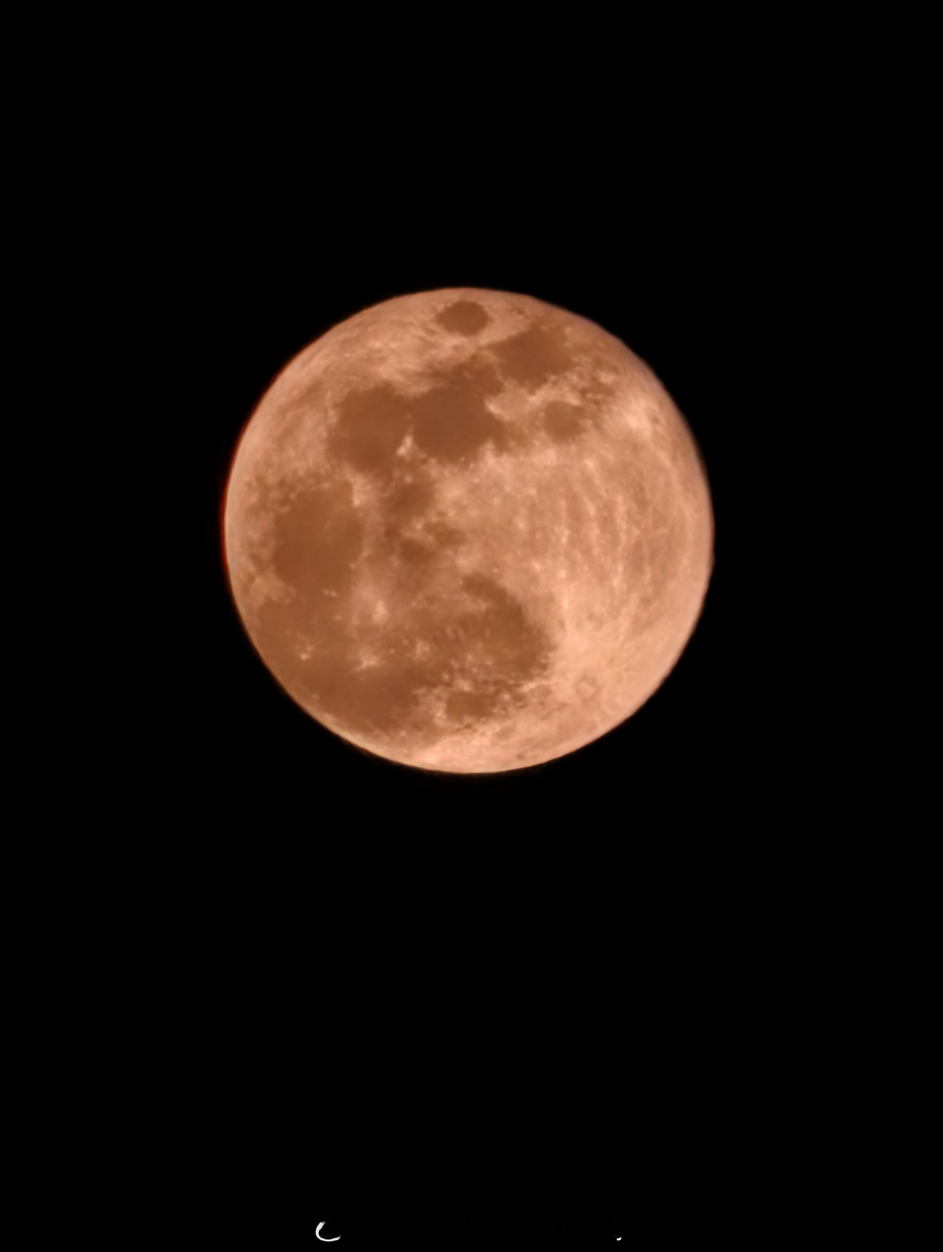 今天的月亮🌙（十五的月亮🌙十六圆）波比带你看风景网球显眼包波比Bobby