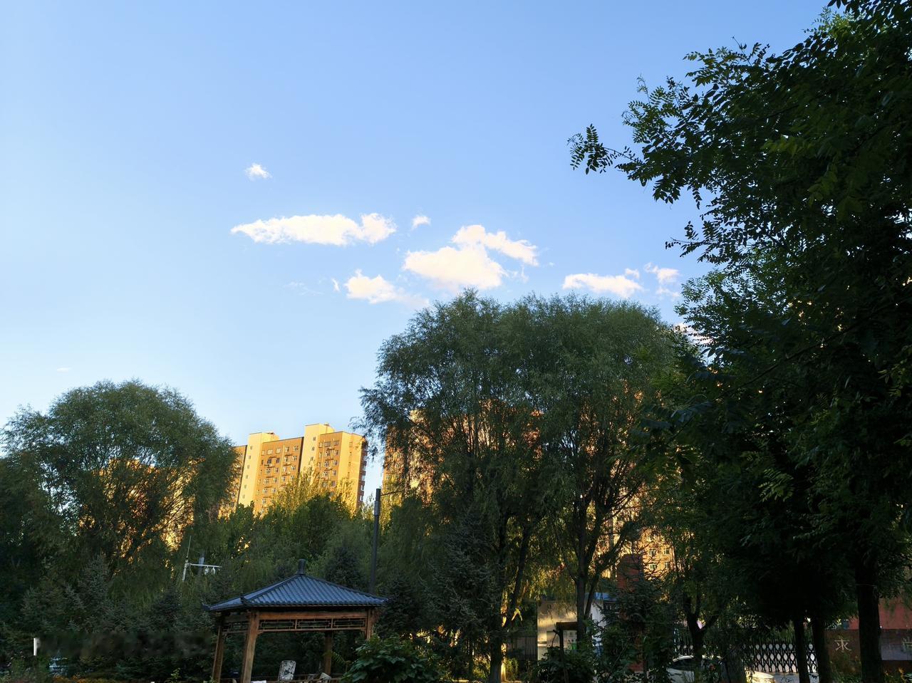 晒图笔记大赛 秋日午后，我邂逅了一场绝美夕阳。
蓝蓝天空中，几朵白云悠悠飘荡着，