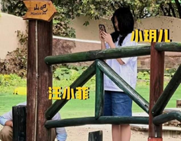 马筱梅回应生孩子是为争家产，13岁小玥儿已长成翻版大S