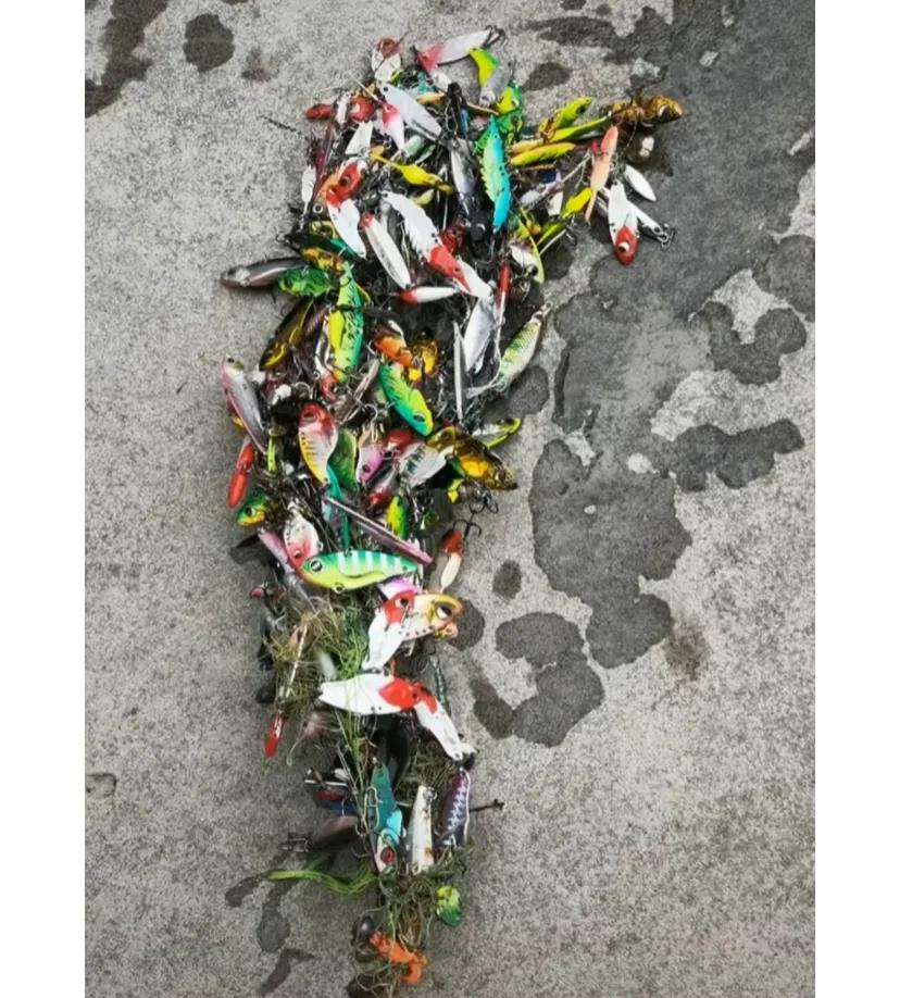 大自然是真敢造啊!
请问这是什么鱼?能吃吗?#大自然的馈赠