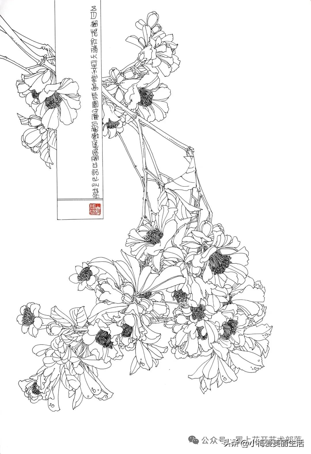 百花线稿图欣赏1