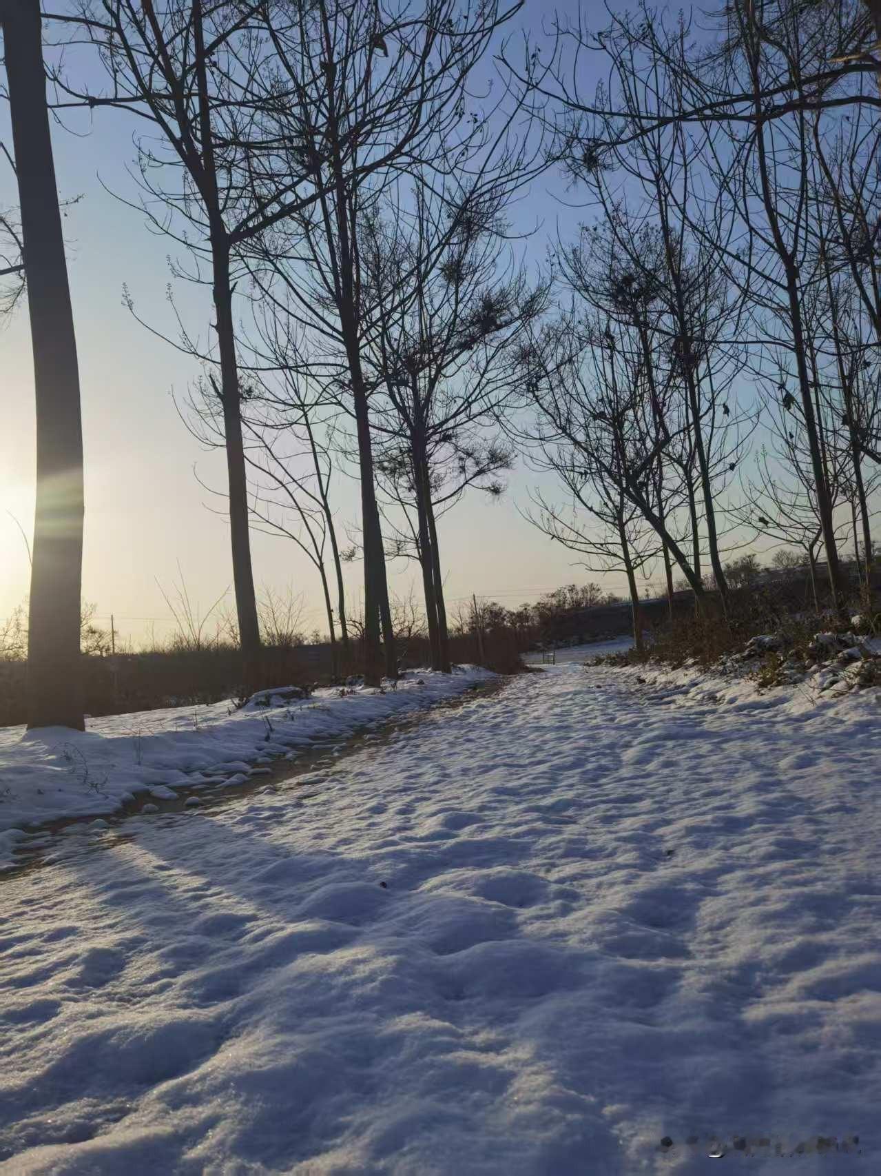 今早出门一抬头，直接被眼前的雪景惊艳到了。小路被厚厚的白雪盖着，踩上去咯吱咯吱响