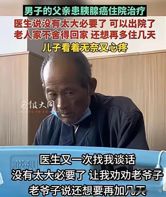 （以下为基于原文的改写，采用第一人称叙事，保留核心细节并增强场景刻画）  

那