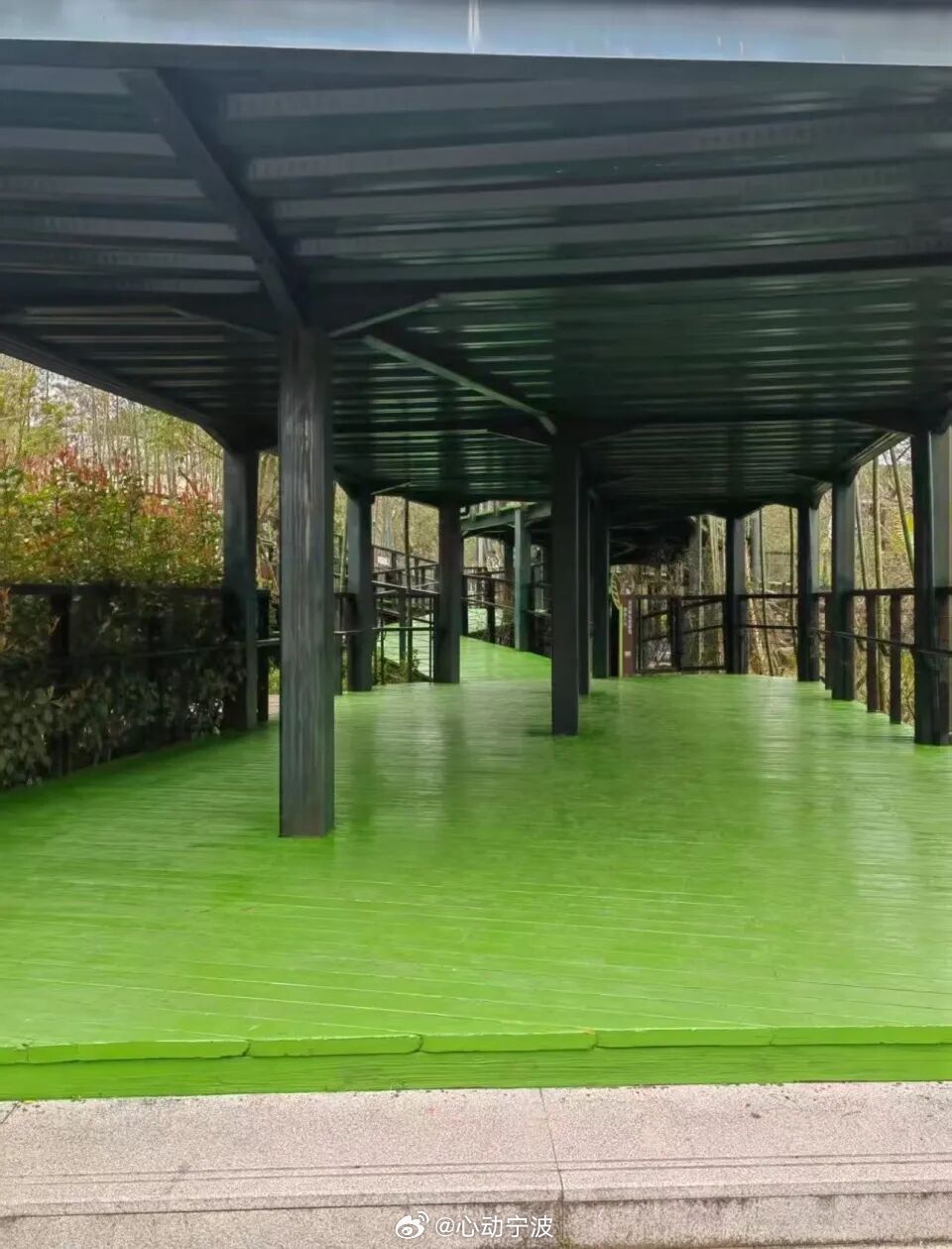 【宁波野生动物园步道刷绿漆被指味道刺鼻影响动物健康 ，工作人员回应：系正常维护，