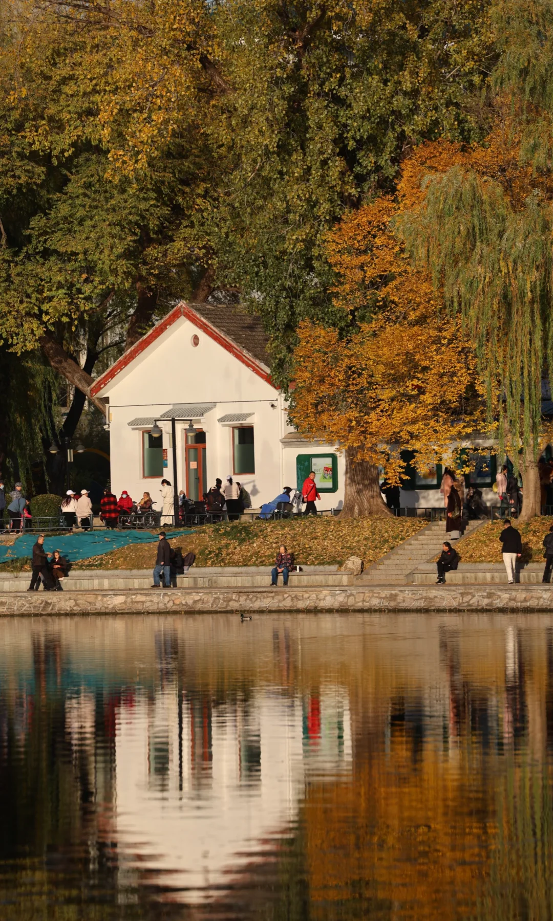 11.10紫竹院，今日最佳！本周可冲