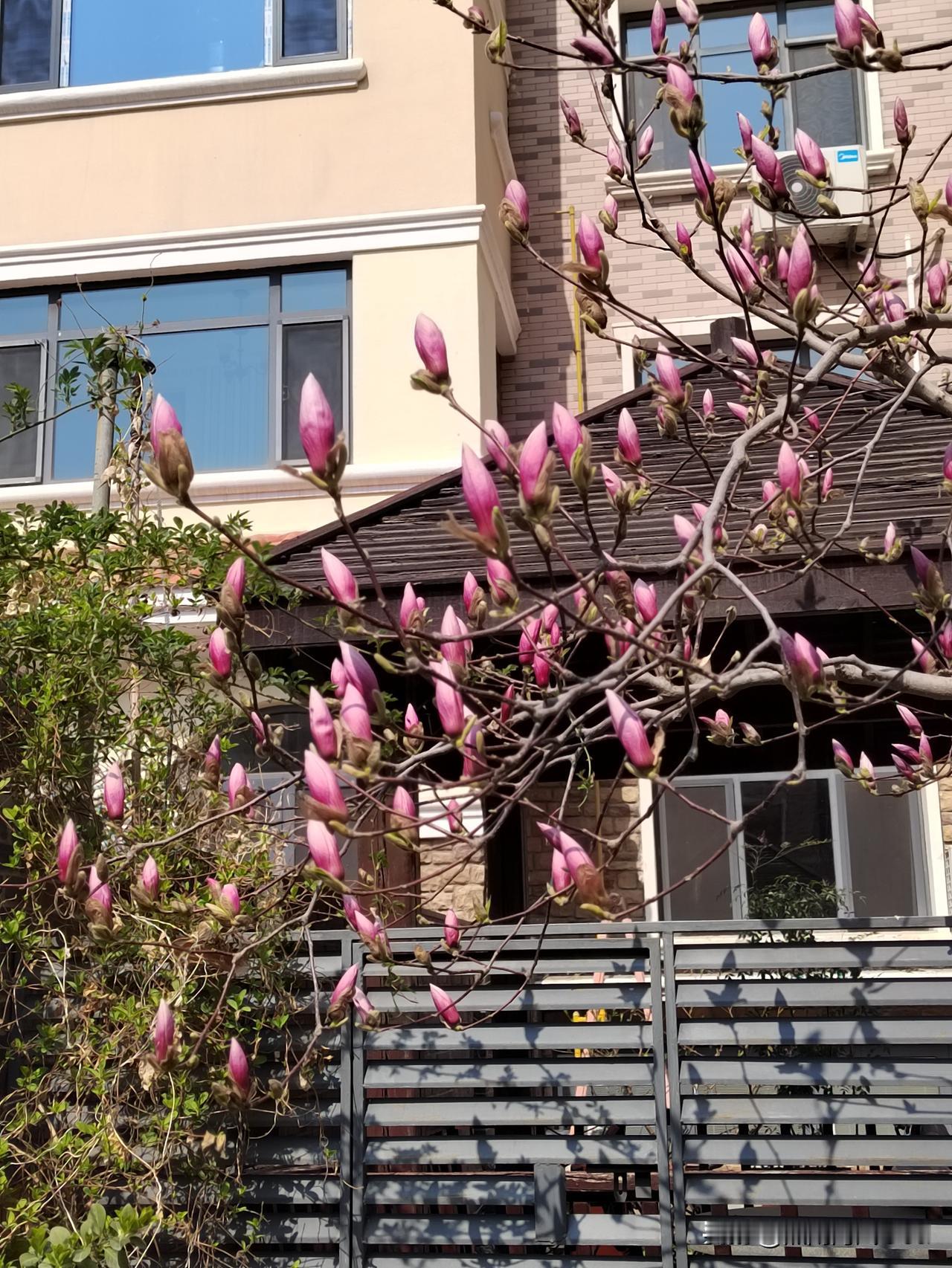 家庭主妇我，发现家务活干起来真是没完没了。

早起，吃完饭就收拾厨房，擦了抽油烟