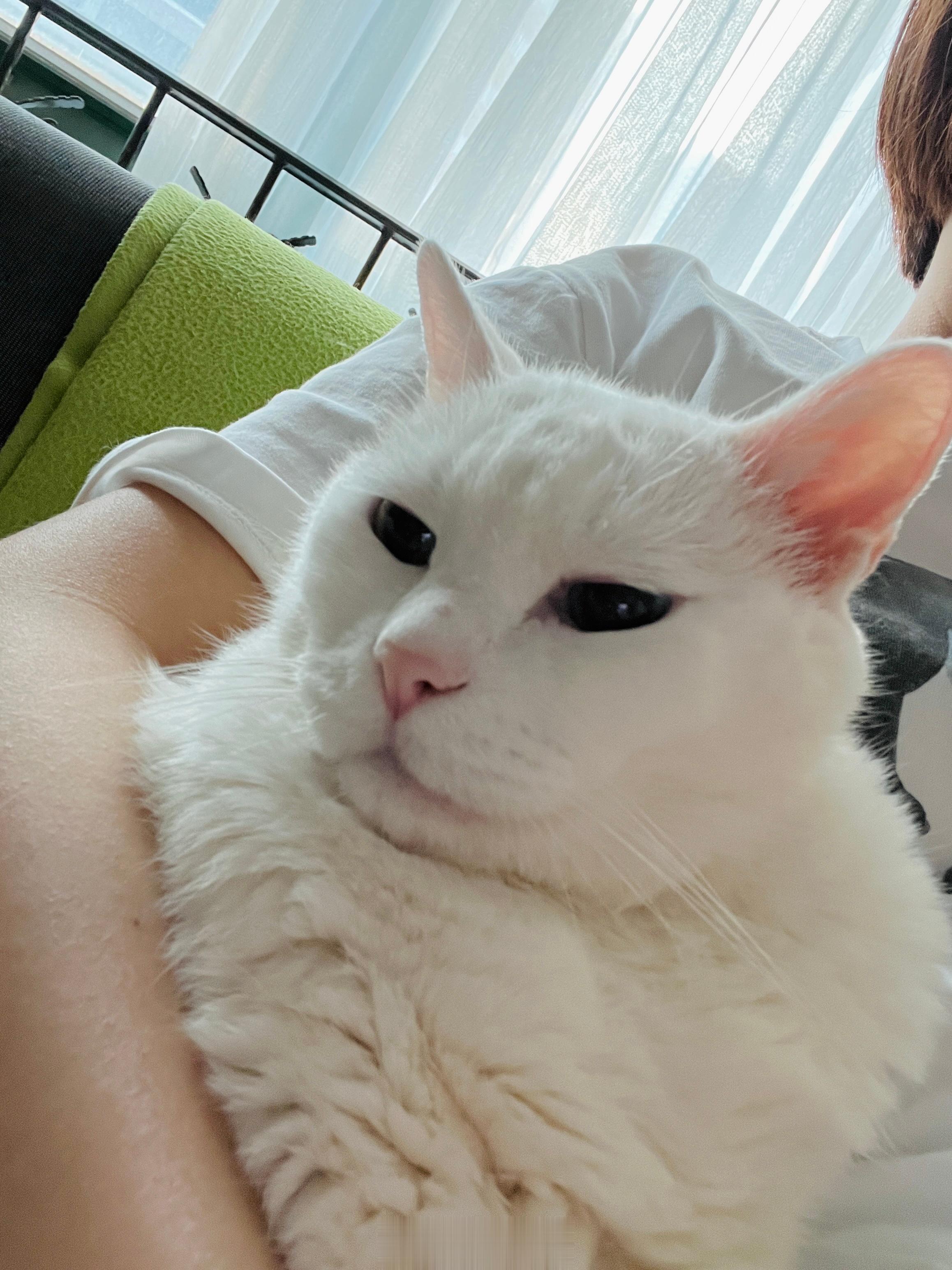 媽寶👶🏻 ​​​