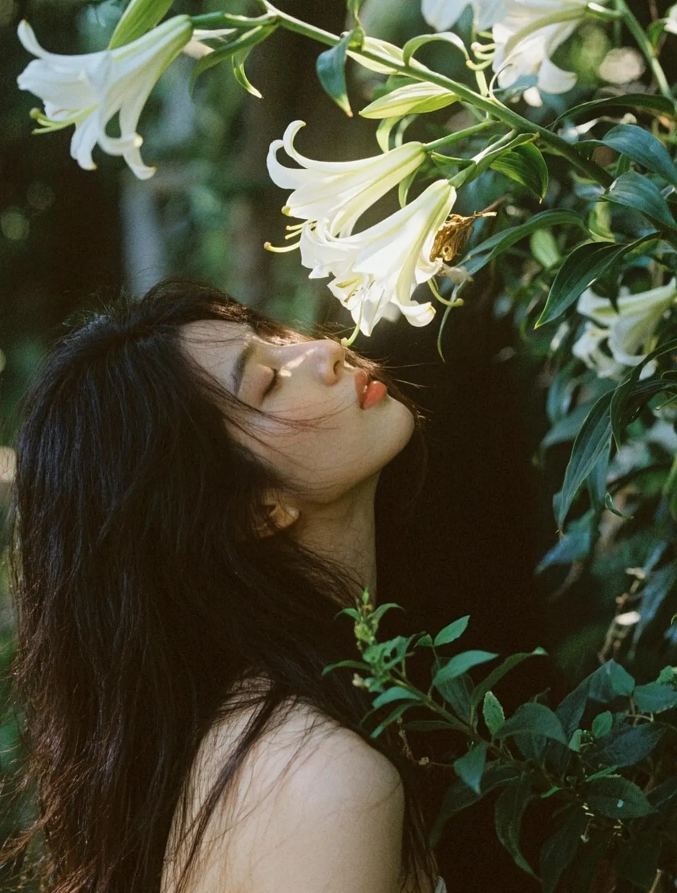 雨季不再来。雨下了那么多日 它没有弄湿过我 是我心底在雨季 我自己弄湿...