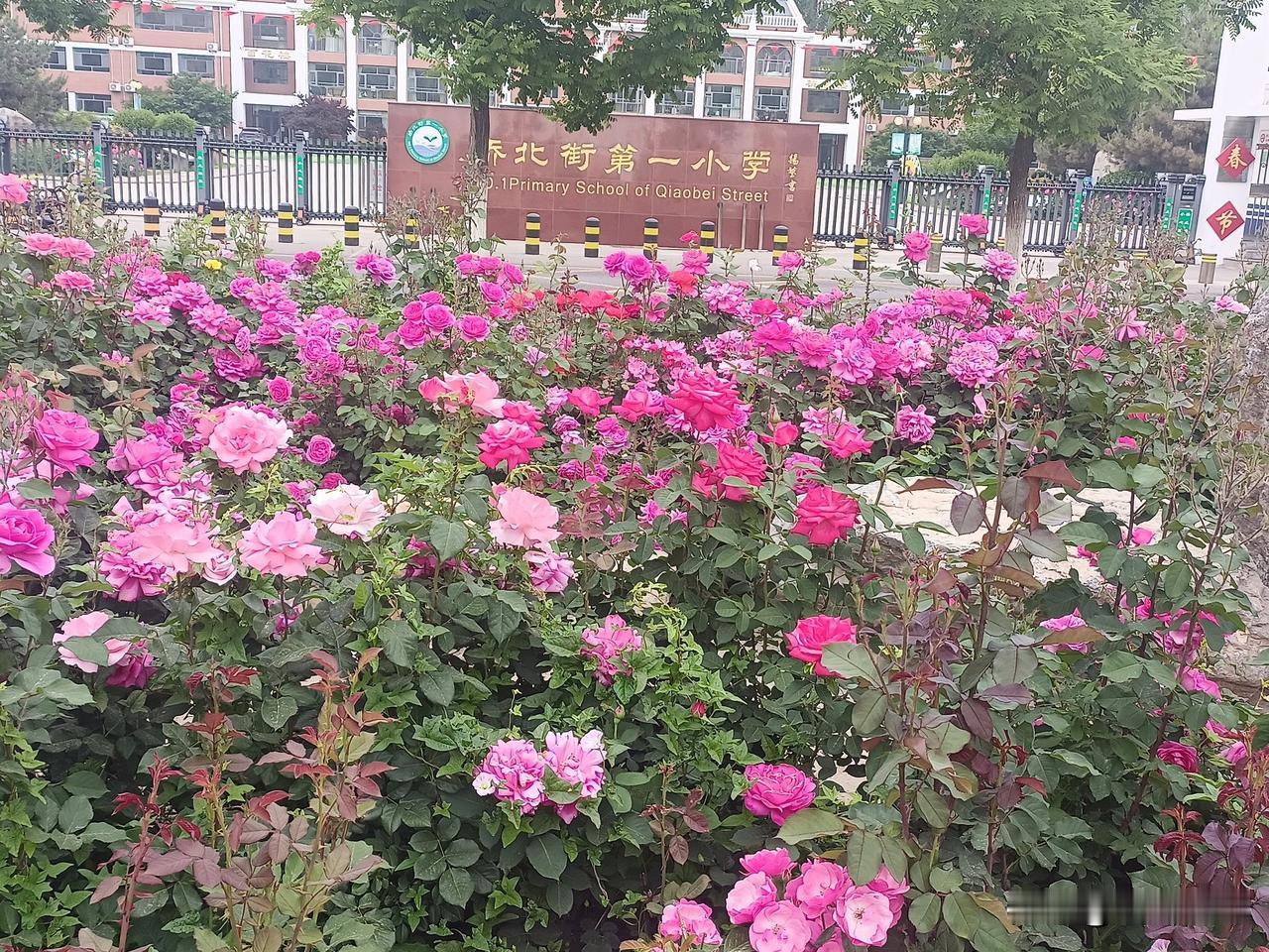 50岁的女人喜欢什么样的老男人?过了五十才明白，中年女人择偶标准特别实在，没有那