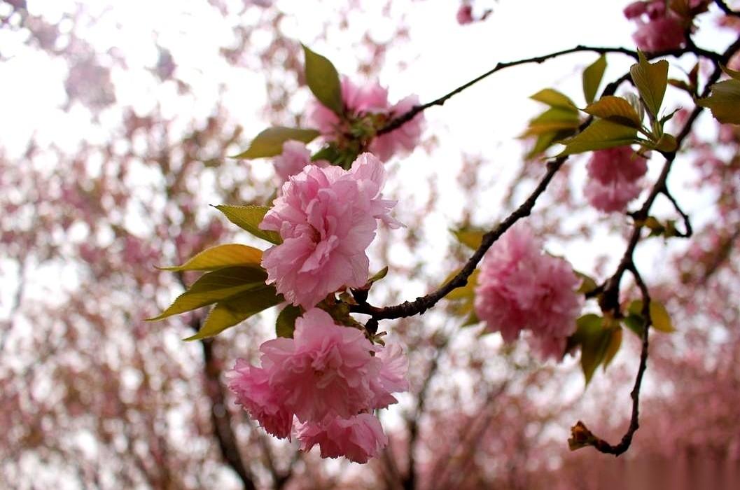 方向盘我单手打了小半辈子，现在，就想找个人，让我安安稳稳坐回副驾，陪他唠唠嗑。