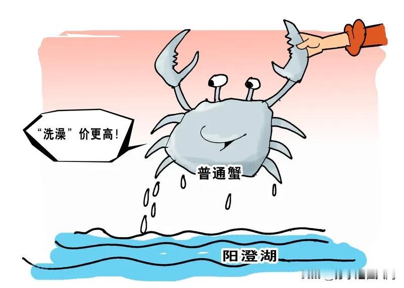 最近，浙大食堂8.8元一只的螃蟹火了！网友直呼“馋哭了”。照片显示，食堂有小8.