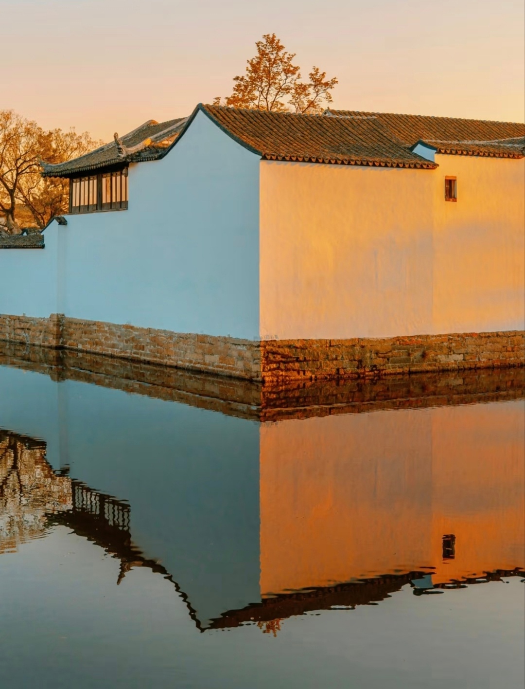 “  转 · 晨光瑞兆 …  ” 