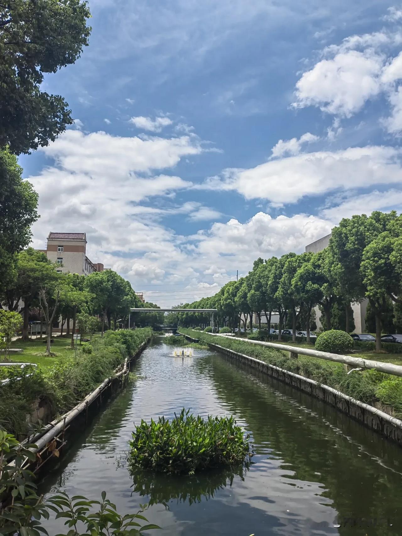 绿树荫中水自流，清风拂面意无忧。