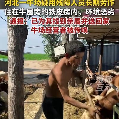 养牛场里，一个38岁的"哑巴"喂了三年牛
河北临漳县杜村集镇秦村，河堤旁一座不起