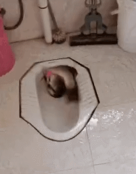 笑死我了，这太绝了 