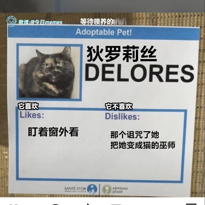 了然（9gag）哎呀 ​​​