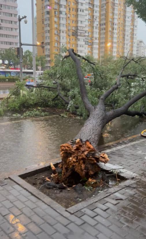 北京大雨 好水儿！坏水儿！ 