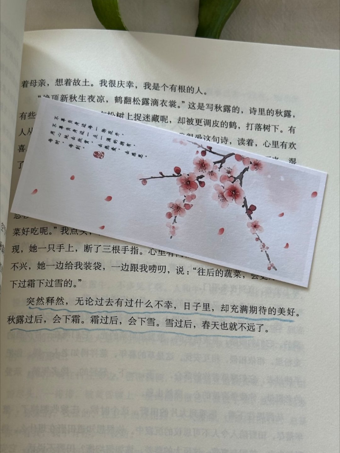 一字一句暖到心坎！这本书我真的太太爱了！ 