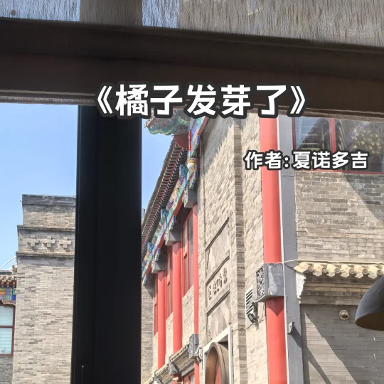 宅家小说｜先婚后爱《橘子发芽了》
