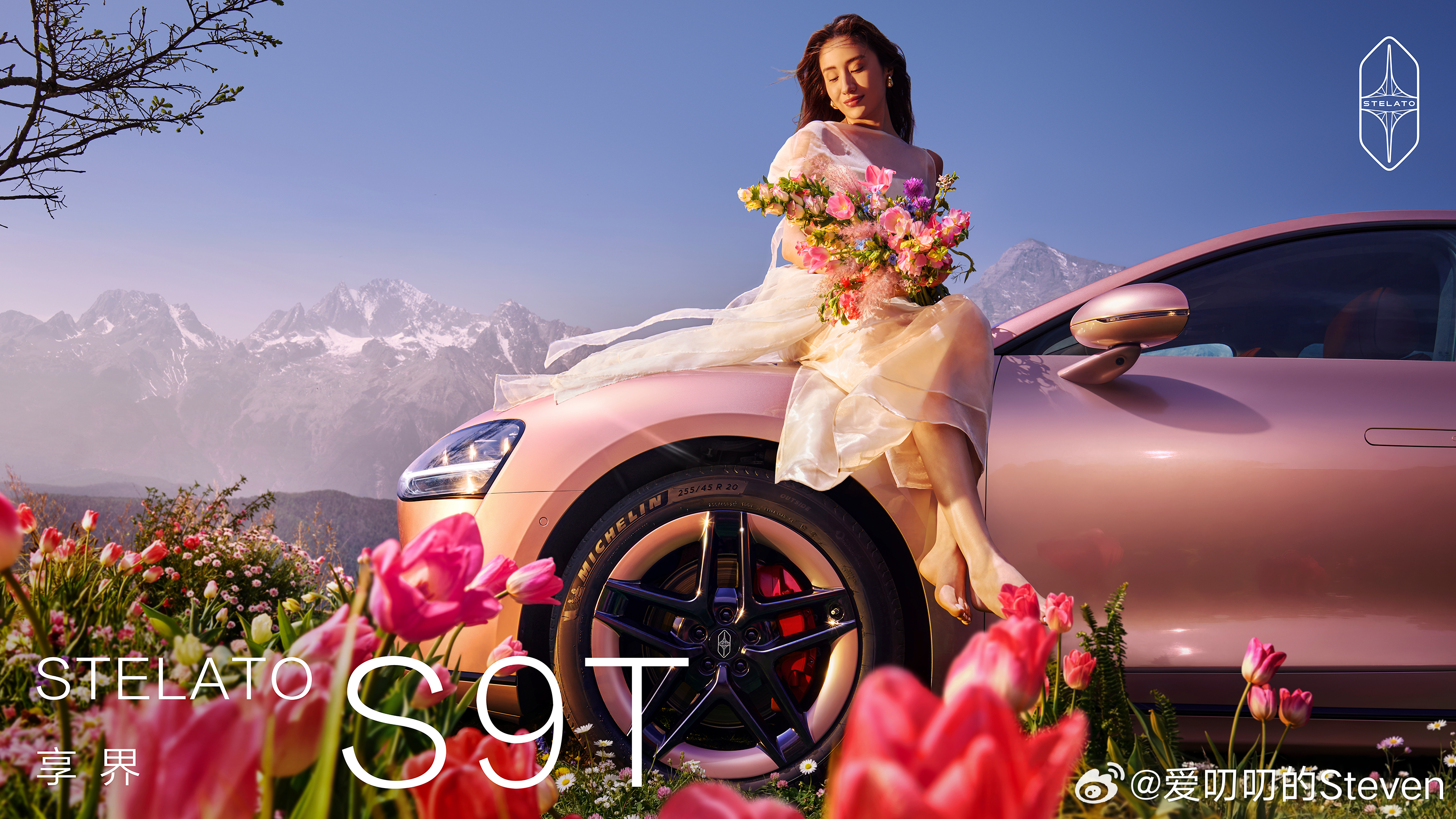 这配色你别说女人了，男人也招不住啊。享界S9T 「星玫粉」明天看看实车调色。 