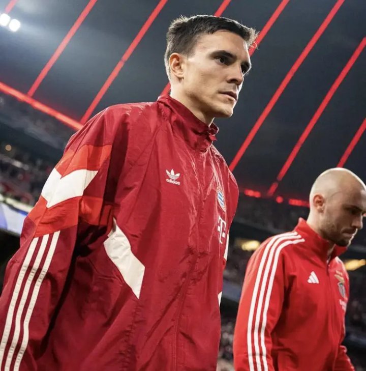 欧冠联赛阶段第四轮比赛，拜仁慕尼黑主场1-0击败本菲卡。今日，球队中场帕利尼亚更