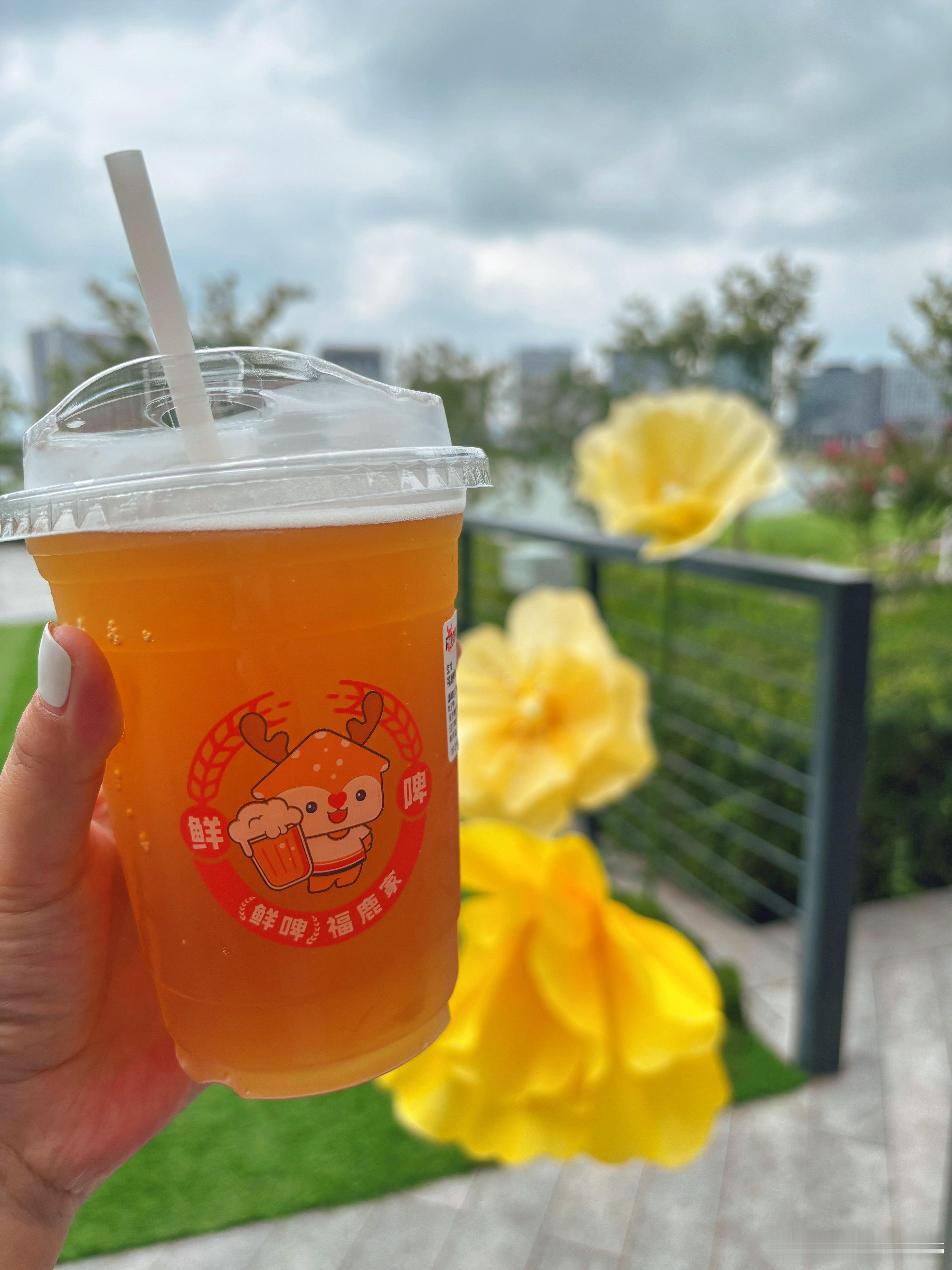 大白天来点酒 郑州·垭芈汤锅