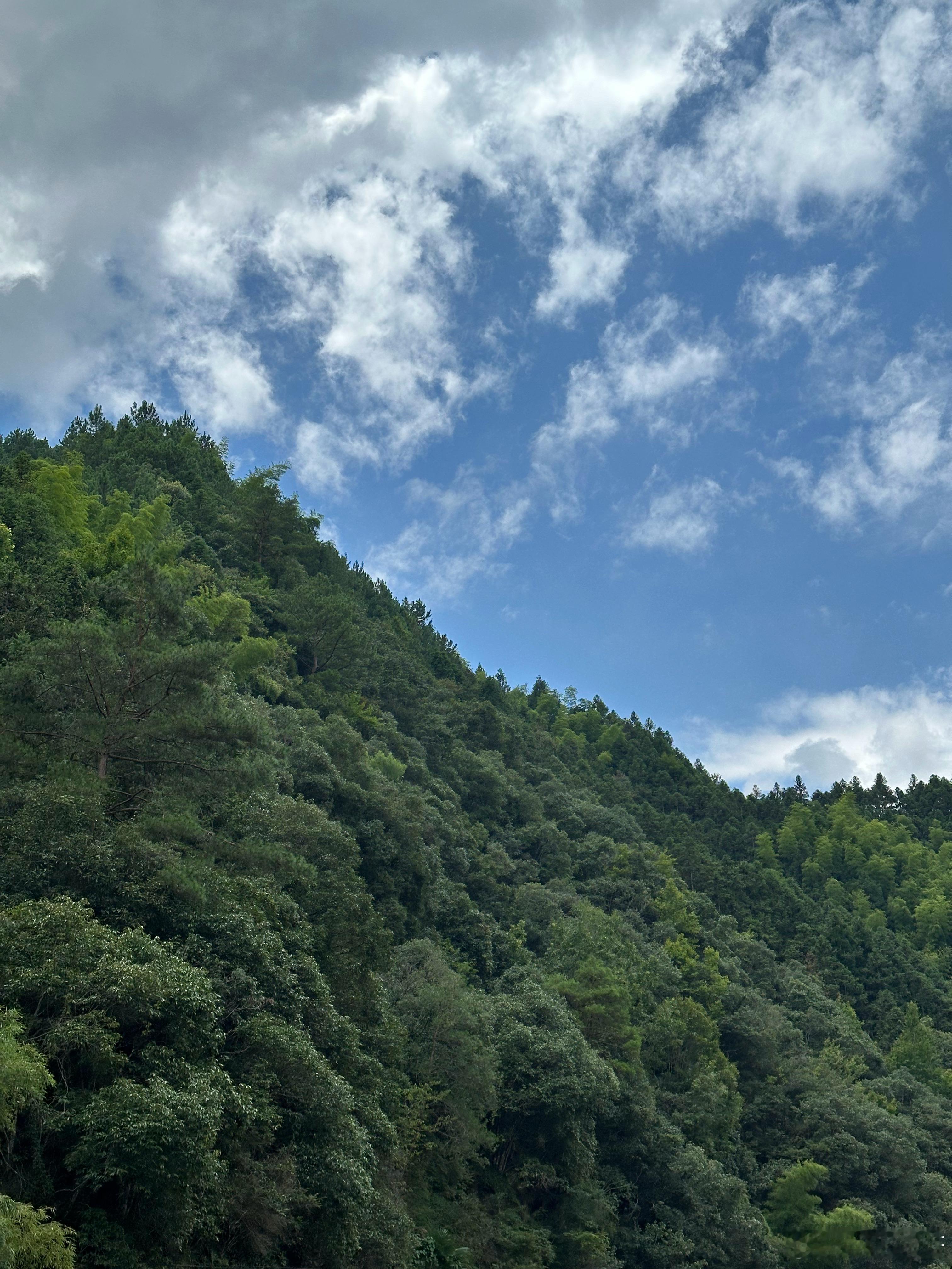 天气炎热约上了朋友去河边露营！带上自制烤串，寿司，零食还有我和姐妹都爱喝的Mec