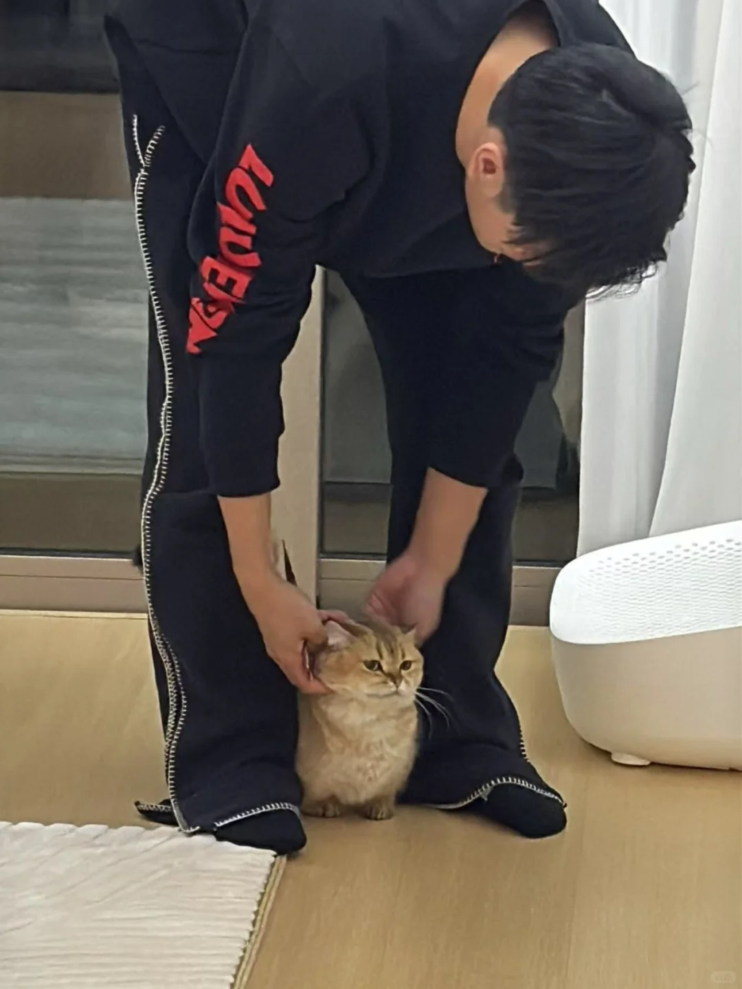 周冠宇完全猫奴来的反差萌有了F1中国大奖赛