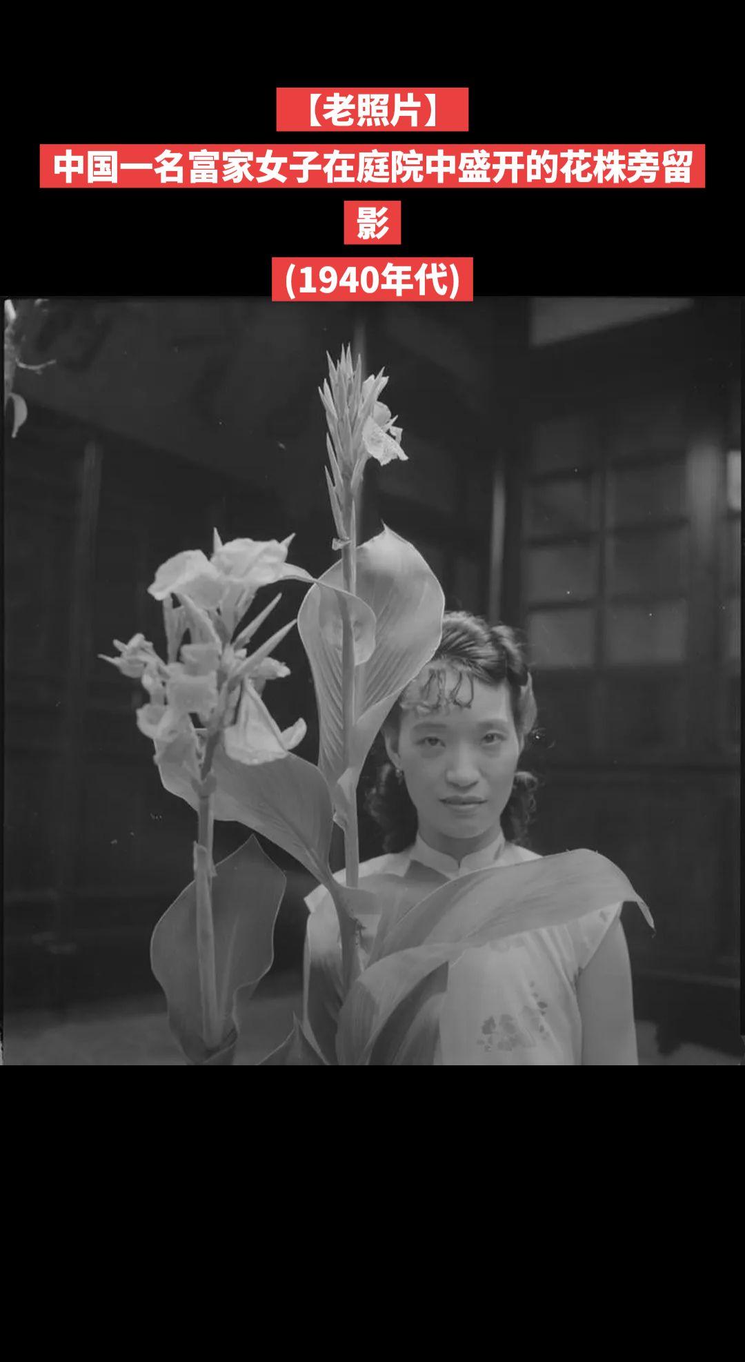 【老照片】中国一名富家女子在庭院中盛开的花株旁留影
(1940年代)