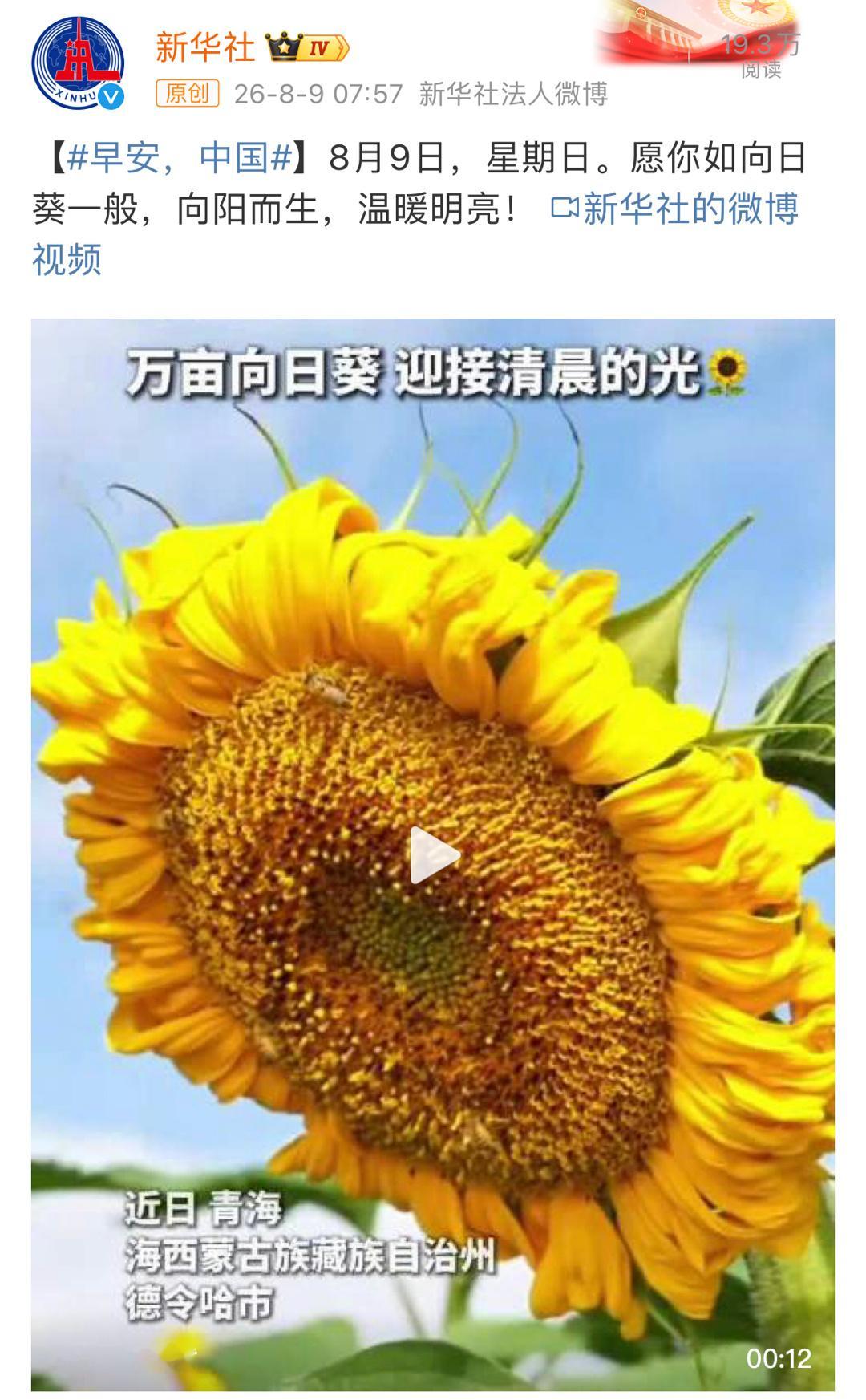 就说不会无缘无故推给我，愿我们如向日葵一般，向阳而生，温暖明亮🌻 
