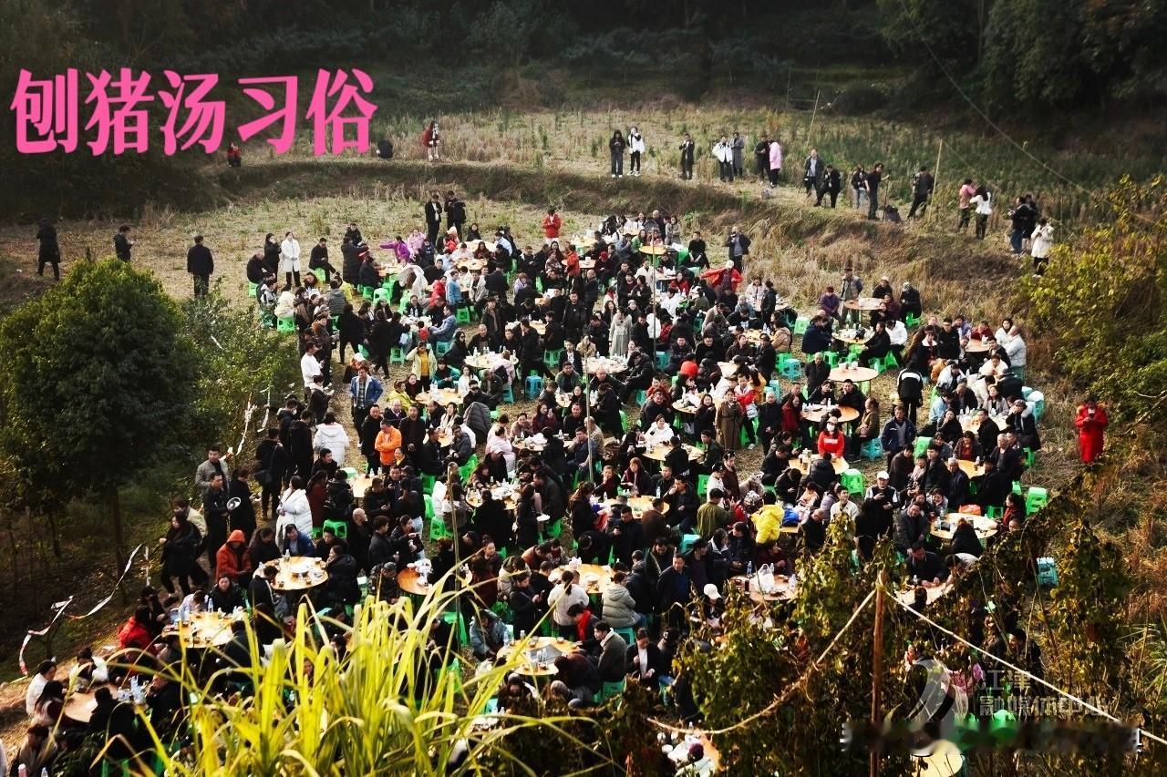 最近，网红“呆呆”凭一己之力将重庆合川推向了风口浪尖。意外之一是居然一夜之间有三