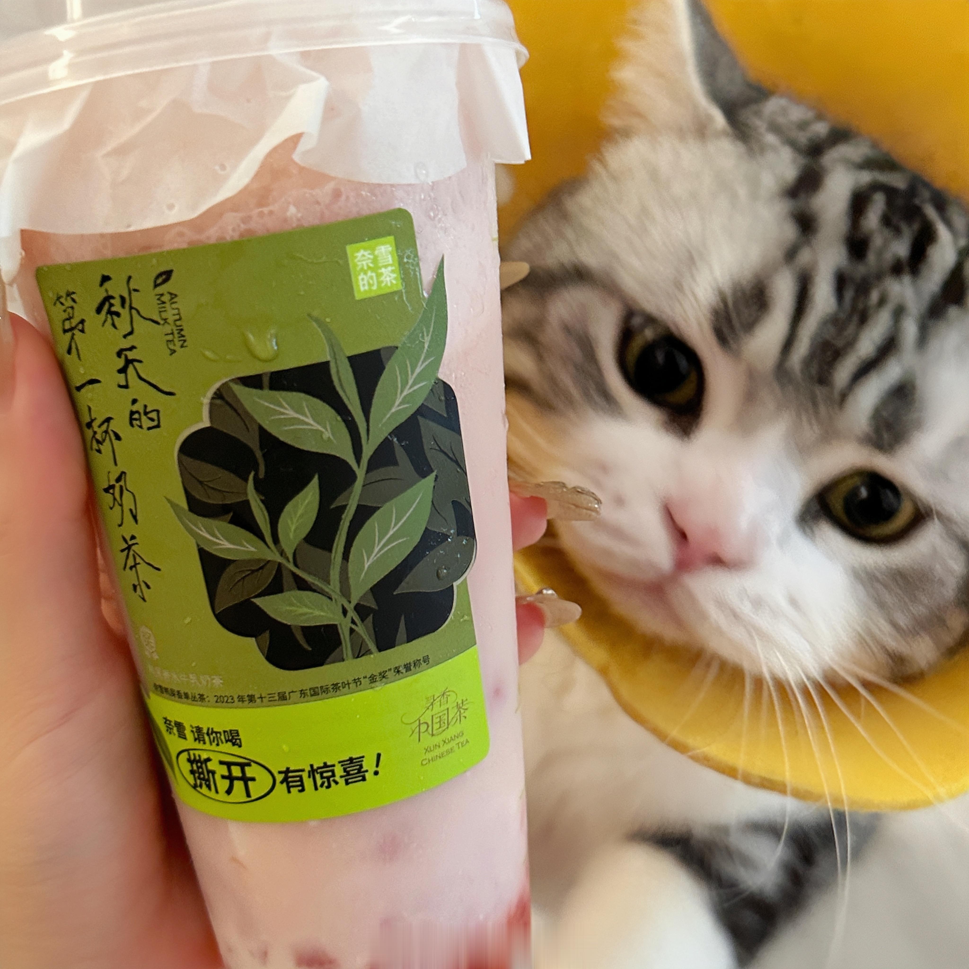 立秋🍂 ​​​