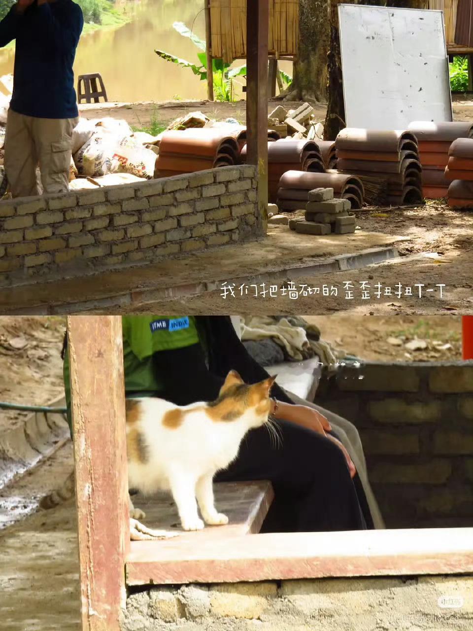 朱志鑫粉丝飞马来西亚做公益 有朱志鑫粉丝专门飞马来西亚做公益，以朱志鑫的名义建学