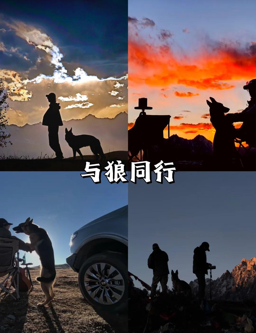 52岁，我与狼同行
甘孜，谢谢你赠我这场盛景。我们不说再见，只说——下次见
这次