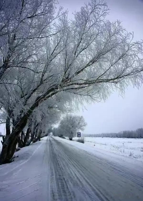 雪域银装素裹，冰天雪地世界。四季更迭，素冬静美，寻光阴一隅，拥时光温暖。流年向简