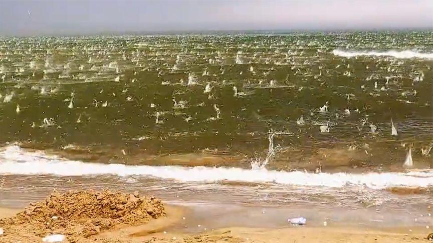【河北秦皇岛突降冰雹砸进大海场面壮观 网友：凭啥你游泳能加冰块】近日，有游客在河
